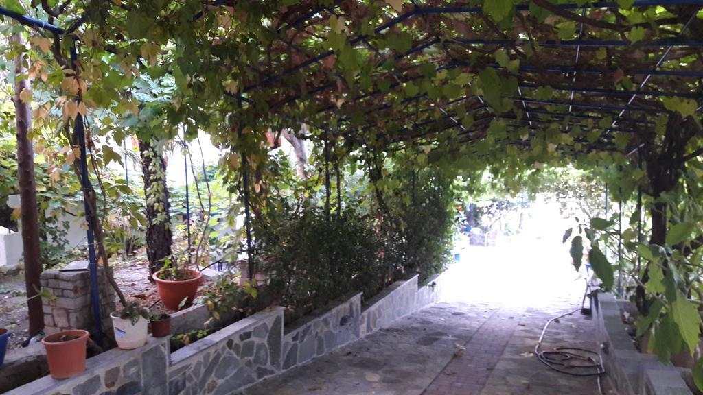Apartments Zafiria Ágios Konstantínos Dış mekan fotoğraf