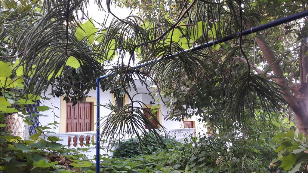 Apartments Zafiria Ágios Konstantínos Dış mekan fotoğraf